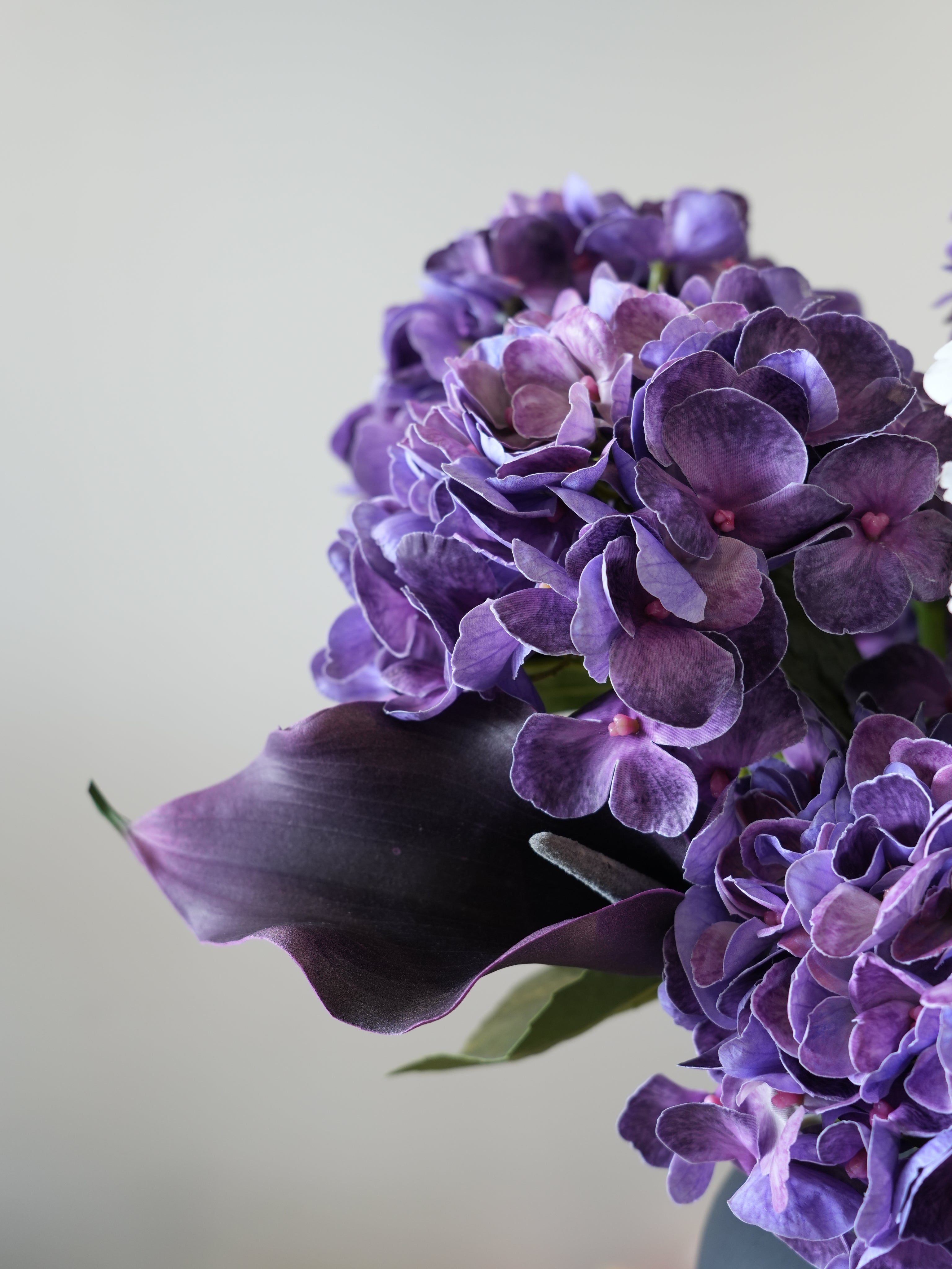 THE BLANC - Soft White & Purple