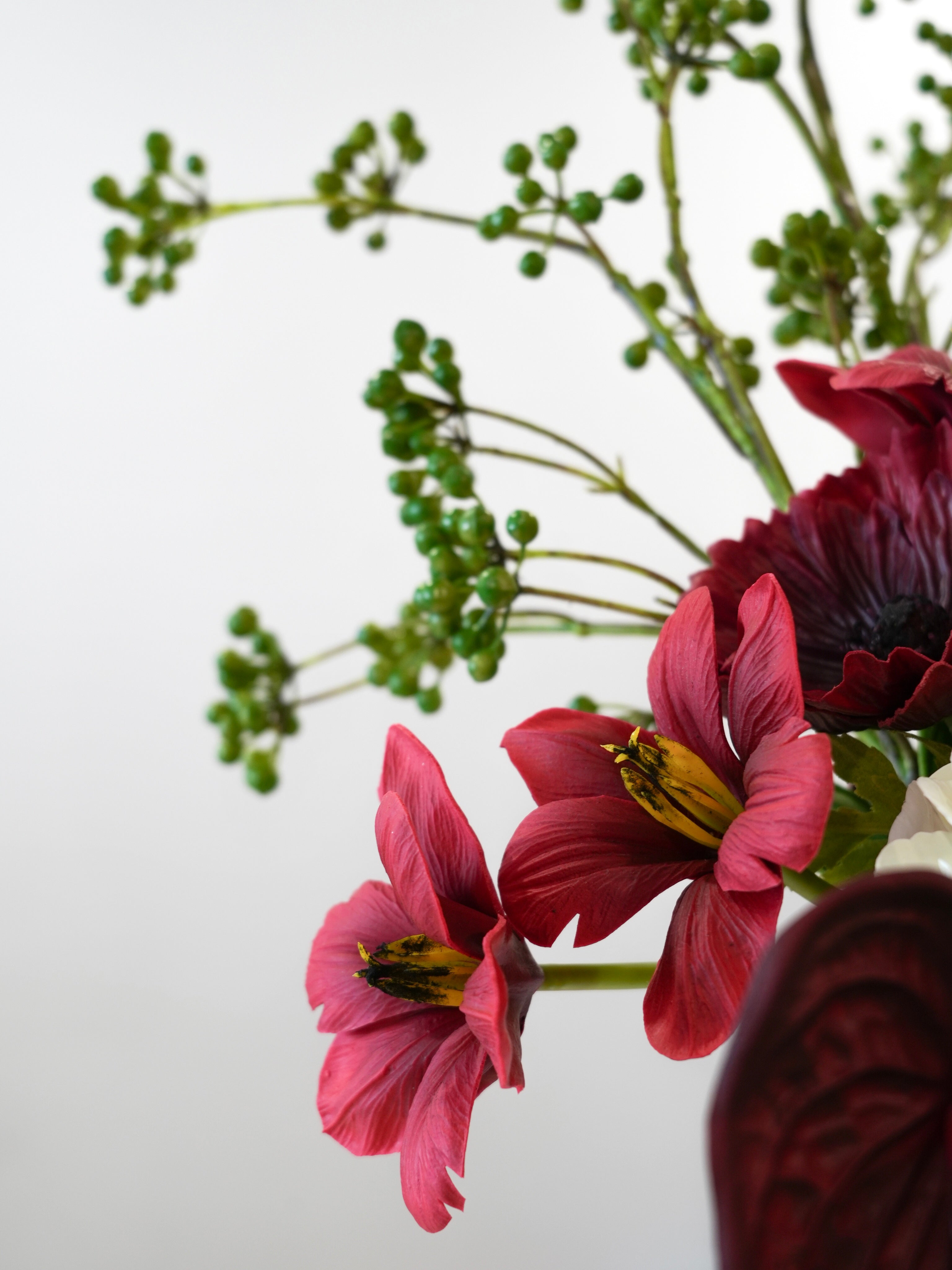 THE EVE - Soft Cream, Red & Green