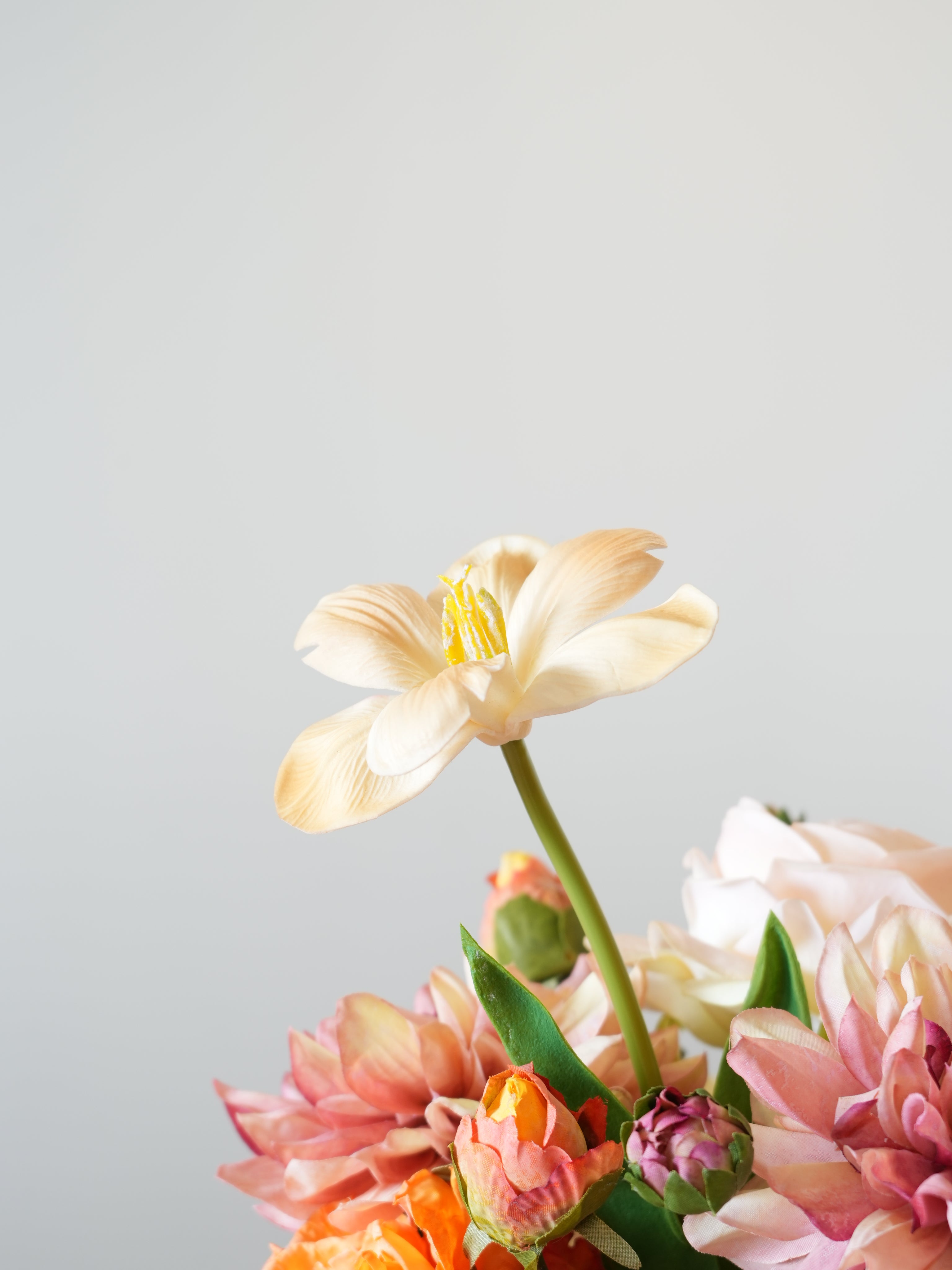 THE BELLE - Blush Pink, Peach, Burn Orange & Green