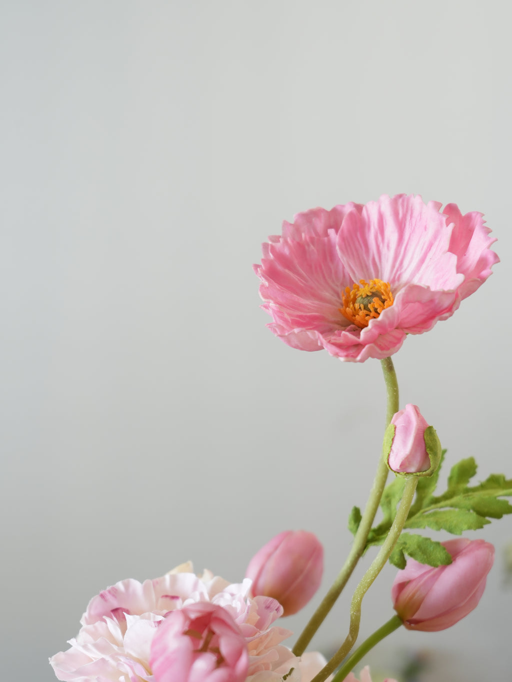 THE AMIRA - Soft Pink and White