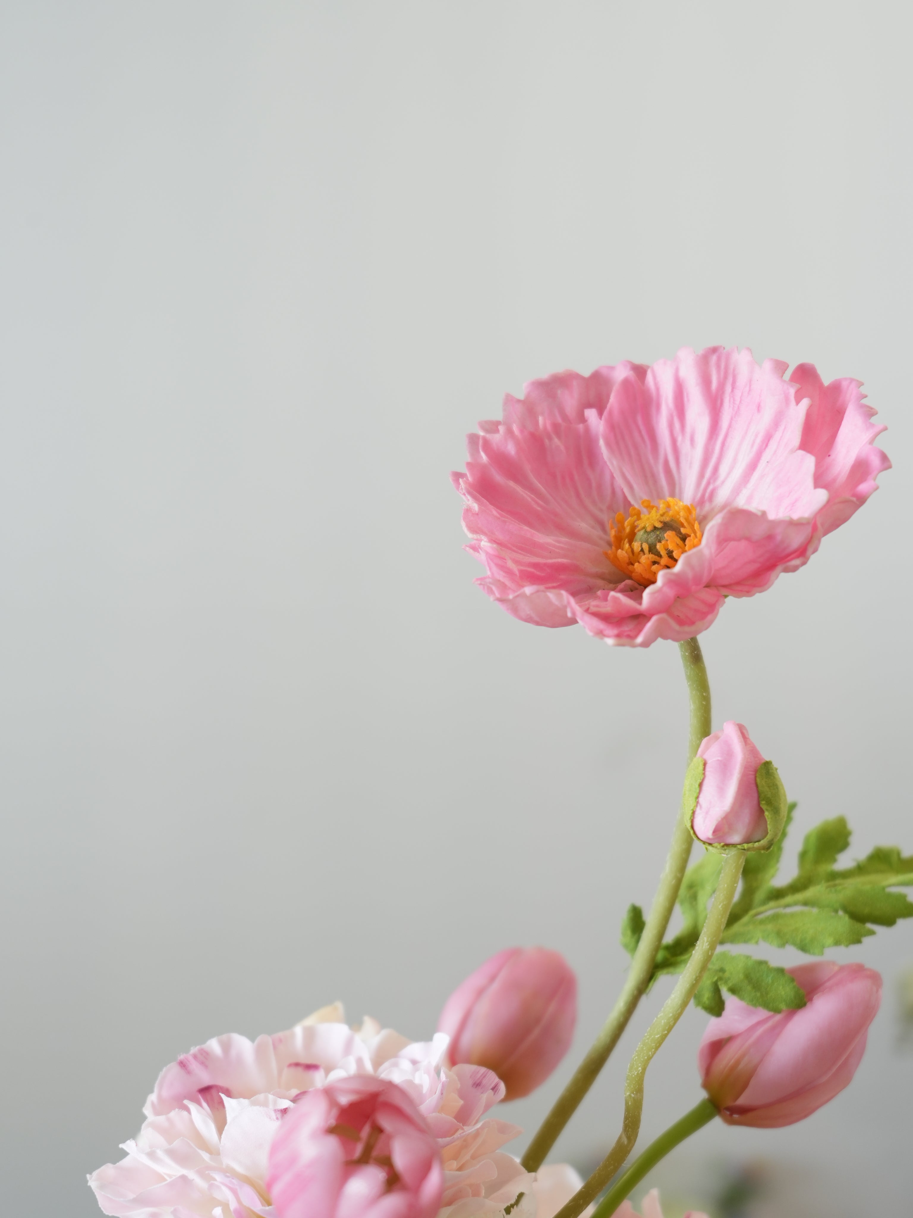 THE AMIRA - Soft Pink and White